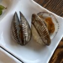 칠암거북 이미지