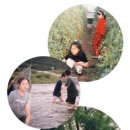 푸른샘농장 이미지