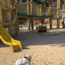 쇠평어린이공원 놀이터 이미지