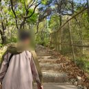클로버 | 인천 계양산 네잎클로버 종주 후기 등산코스 GPS 꿀팁