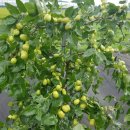 상배농장 이미지