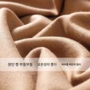 홍귤 이미지