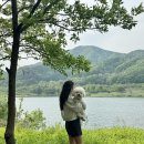 가평애견카페 리버뷰펜션 이미지