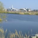 갯목 입구 이미지