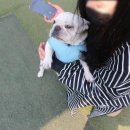 옥자펜션 이미지