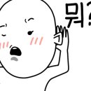 회랑세꼬시 이미지