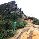 스테고사우루스-2 이미지