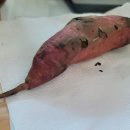 팔봉주유소 이미지