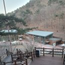 영양에코둥지 흥림산 자연휴양림 후기