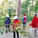 오대산힐링빌리지영농조합법인 이미지