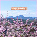 선웅농원 이미지