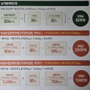 풍년과수원 | 2026년 콩 농작물 재해보험 가입후기 및 총정리