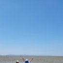 마니스테이 이미지