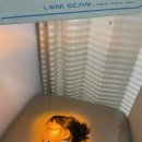 율하엘의원 이미지