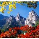 진봉농장 이미지