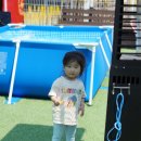 하이플레임 스테이 이미지