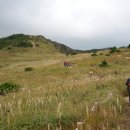 하늘산장 이미지