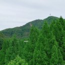 대청호 오백리길4구간부터 장태산자연휴양림까지 1박2일 대청호테마관광 (예술가와의 산책)