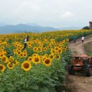 시선안경 이미지