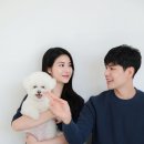 스튜디오제드 이미지