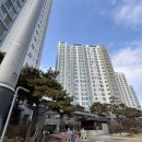 강서구-55 이미지