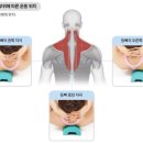 SNPE 바른자세 척추운동&목·어깨 통증테라피 이미지