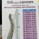 3H지압침대 이미지