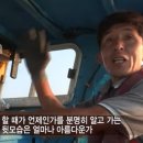 안녕빵