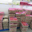 진주마트 이미지