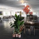 웰빙푸드 이미지