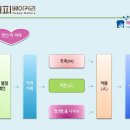 정인플라워 이미지