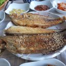 돌고래식당 이미지