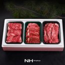 참한우2호 이미지