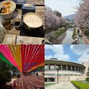 스타벅스커피 서초중앙로점 | 작년 12월 대만여행부터 올해 5월 봄나들이까지 일상총정리