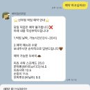 쿠키샤워 | 천안 신부동 두바이쫀득쿠키 피쵸샤워, 순둥이, 모찌뿌요 픽업 예약 후기_버터집