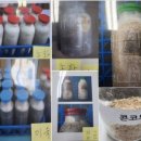 김제농생명마이스터고등학교 | 환경 기능사, 유기농업 기능사, 버섯종균 기능사 실기 한 번에 합격한 후기