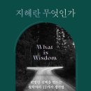 영앤드컴퍼니