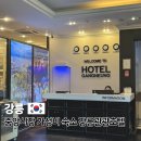 하나금융투자 버스정류장 | 강릉관광호텔 중앙시장 근처 가성비 숙소 디럭스 더블룸 뚜벅이 혼자여행 추천