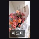 씨드미 | [대전 꽃집] 씨드미 감각적 꽃 조합과 친절함