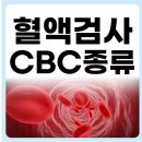 산호성 | 강아지 혈액검사 CBC 검사 종류 및 비용 알아보기!