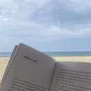향수 오토캠핑장 | 🌊 휴가, 그리고 일!! 워케이션 @동해 망상 오토캠핑장 캐빈 하우스