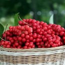 차만들기 이미지