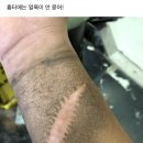 아이스크림사랑