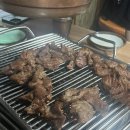 손문갈매기
