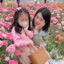 팜스플라워