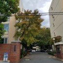 동원1차아파트경로당 네이버블로그
