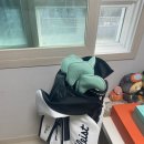 타이틀 GT1 드라이버 구입후기