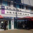 왕창 잘되는 집