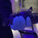 화성락실내바다낚시터 이미지