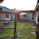 제주마농 이미지